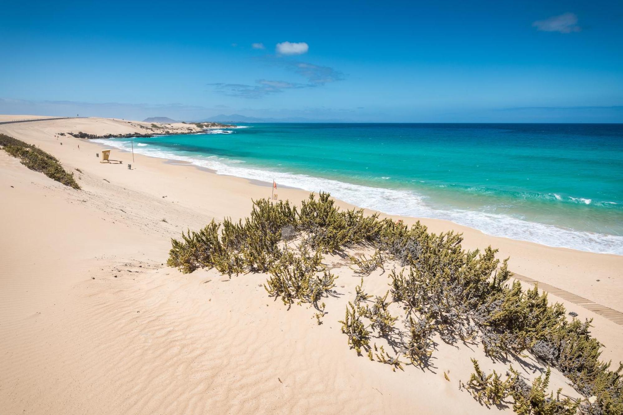 Home2Book Sunny Apt, Terrace & Pool Corralejo Exterior photo